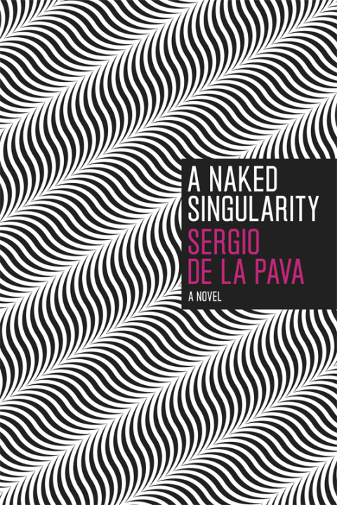Cover image for book A Naked Singularity