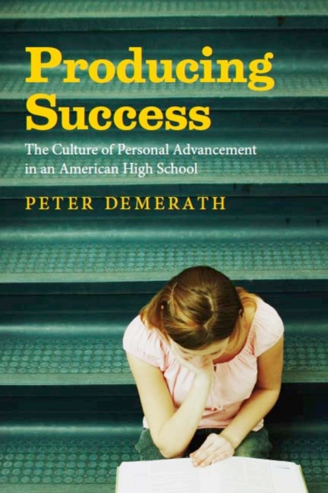 Cover image for book Producing Success