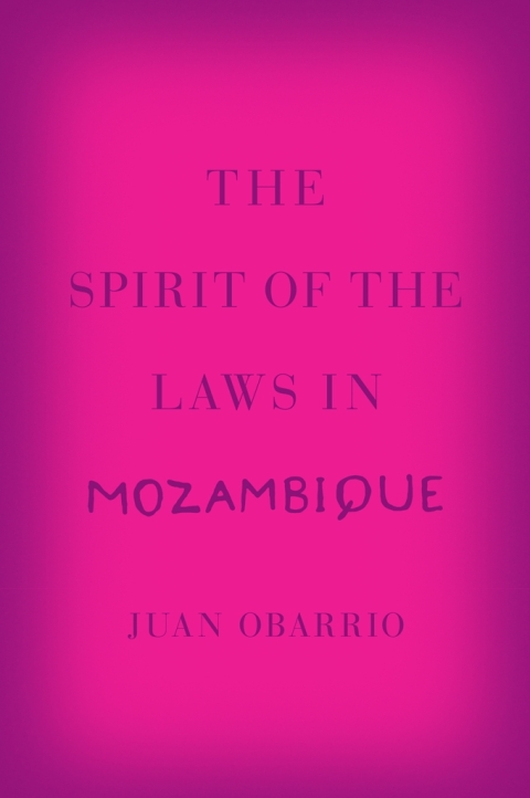 Cover image for book The Spirit of the Laws in Mozambique
