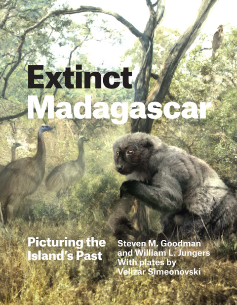 Extinct Madagascar 