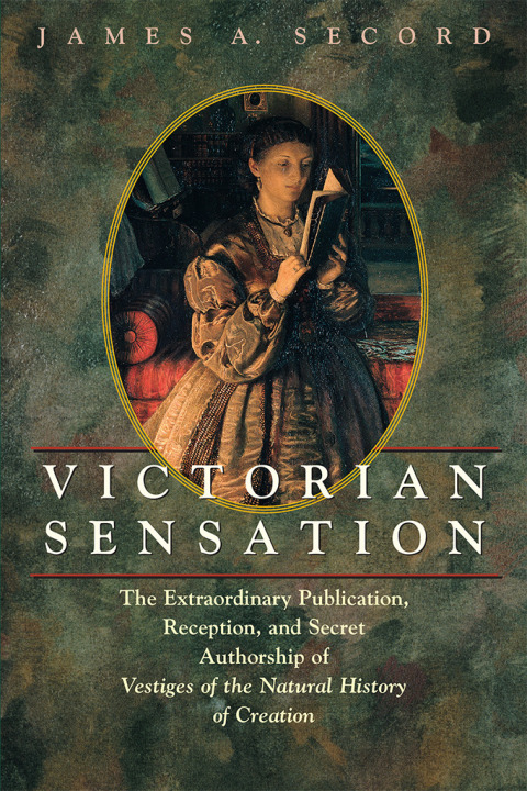 Cover image for book Victorian Sensation