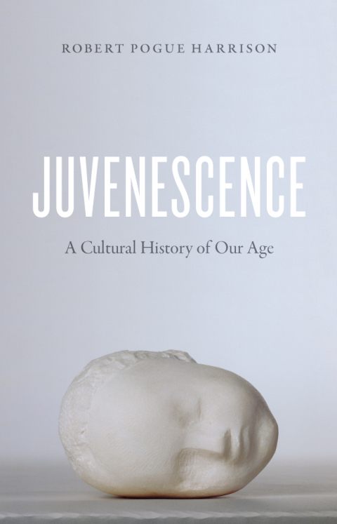 Cover image for book Juvenescence