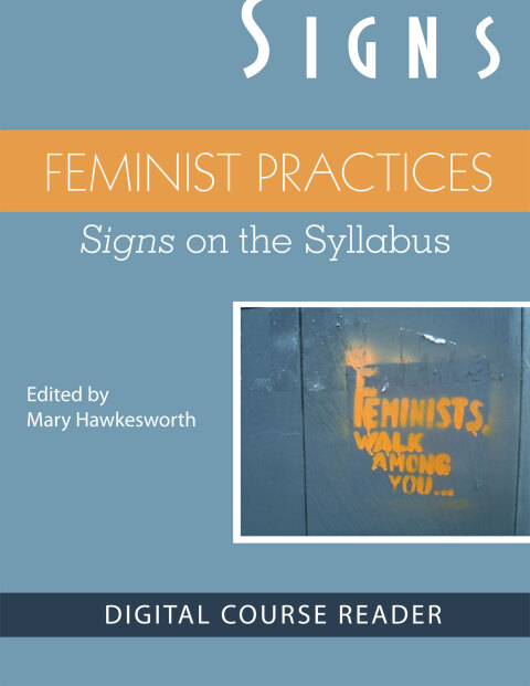 Cover image for book Feminist Practices