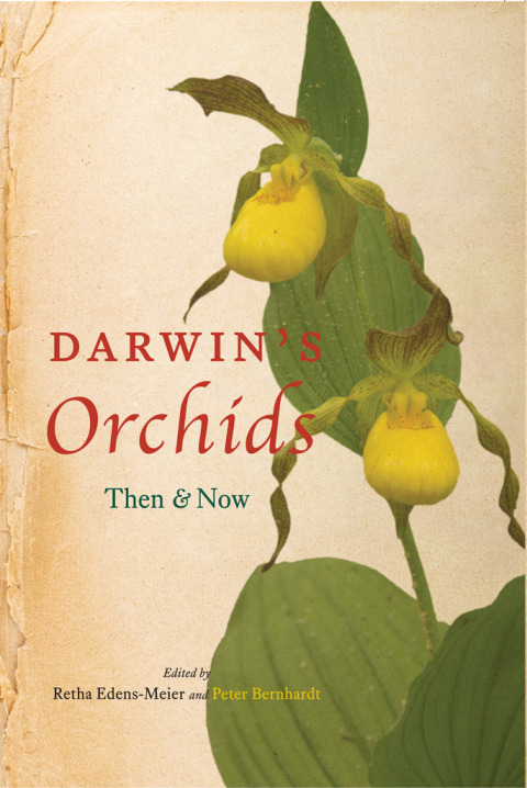 Cover image for book Darwin's Orchids