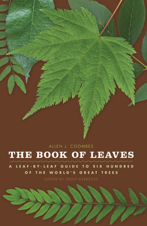Cover image for book The Book of Leaves