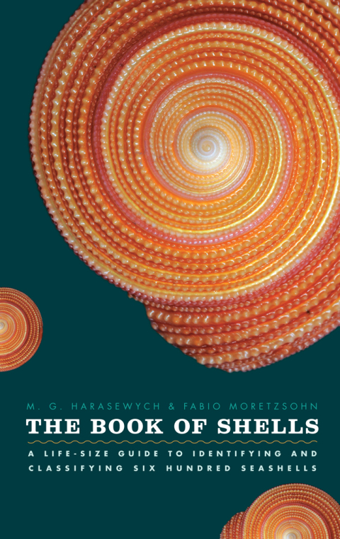 Cover image for book The Book of Shells