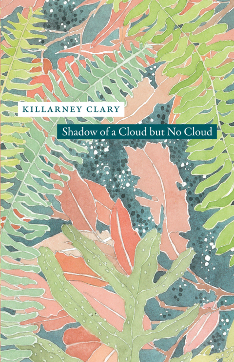 Cover image for book Shadow of a Cloud but No Cloud