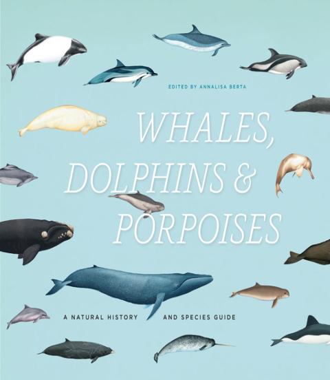 Cover image for book Whales, Dolphins, and Porpoises