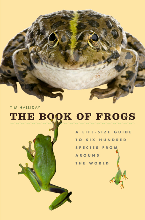 Cover image for book The Book of Frogs