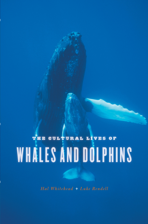 Cover image for book The Cultural Lives of Whales and Dolphins