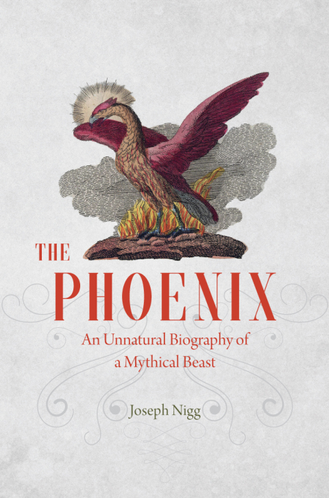 Cover image for book The Phoenix