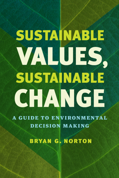 Cover image for book Sustainable Values, Sustainable Change