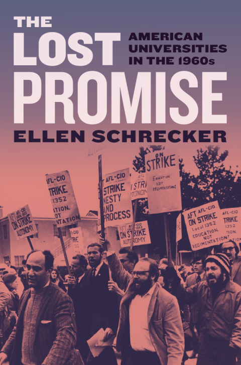 Cover image for book The Lost Promise