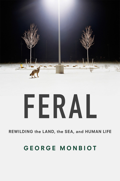 Cover image for book Feral