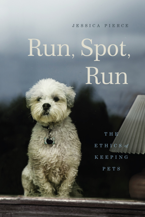 Cover image for book Run, Spot, Run