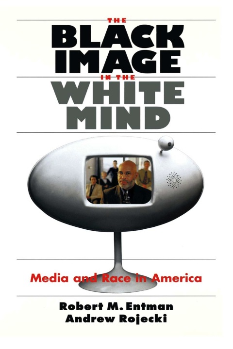 Cover image for book The Black Image in the White Mind