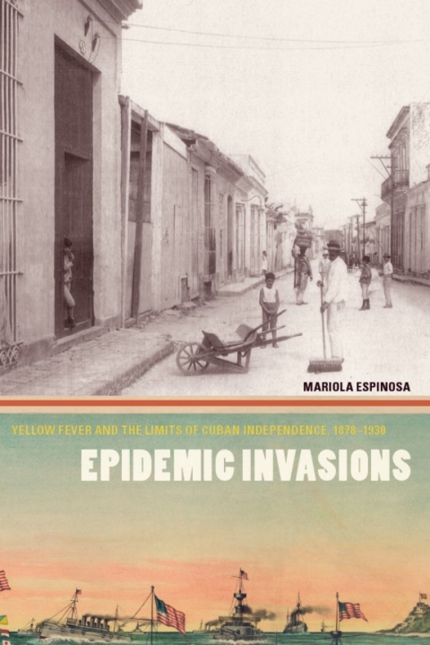 Cover image for book Epidemic Invasions