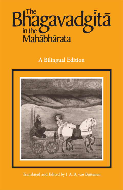 Cover image for book The Bhagavadgita in the Mahabharata