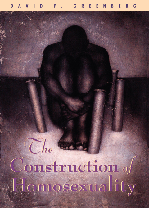 Cover image for book The Construction of Homosexuality