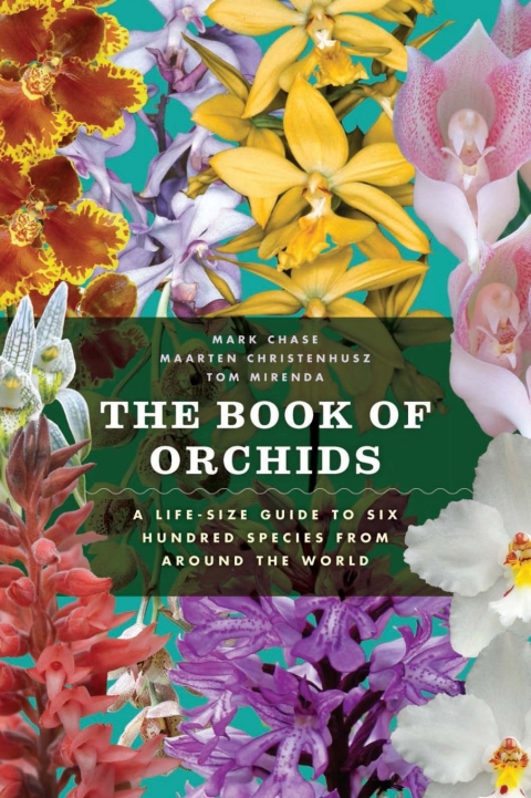 Cover image for book The Book of Orchids