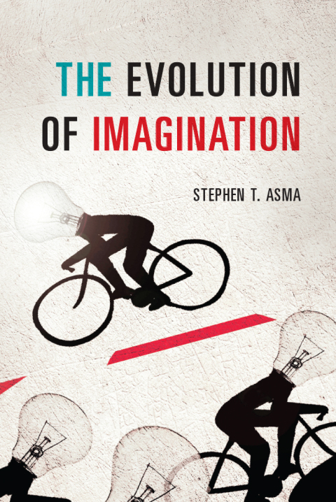 The Evolution of Imagination 