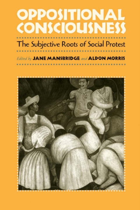 Cover image for book Oppositional Consciousness
