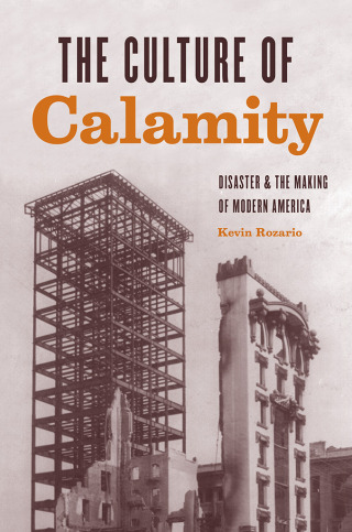 The Culture of Calamity