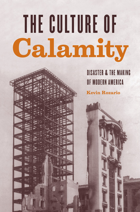 Cover image for book The Culture of Calamity