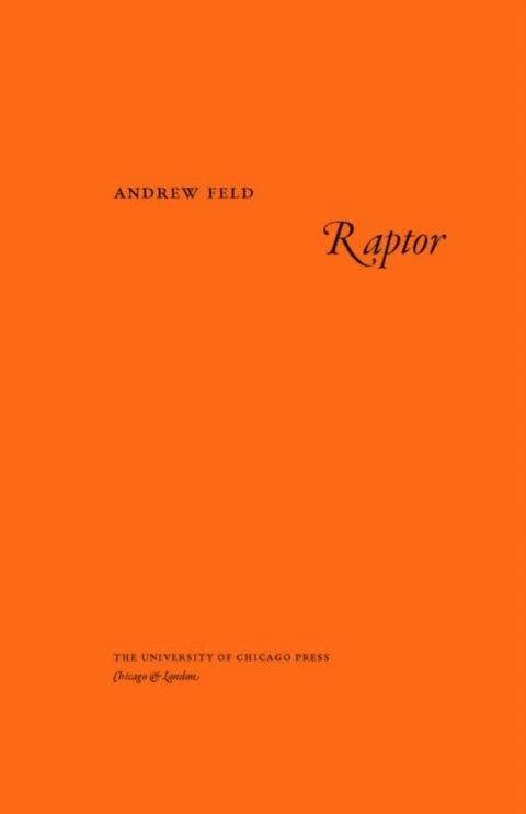 Cover image for book Raptor