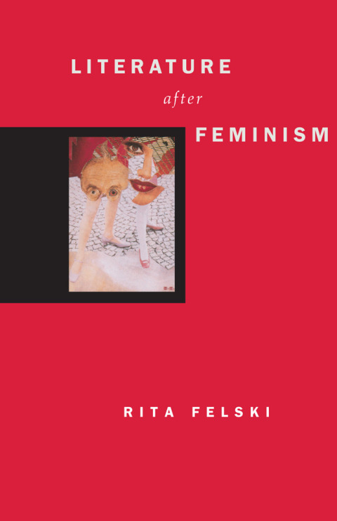 Cover image for book Literature after Feminism