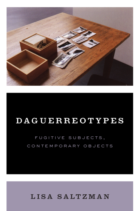 Cover image for book Daguerreotypes
