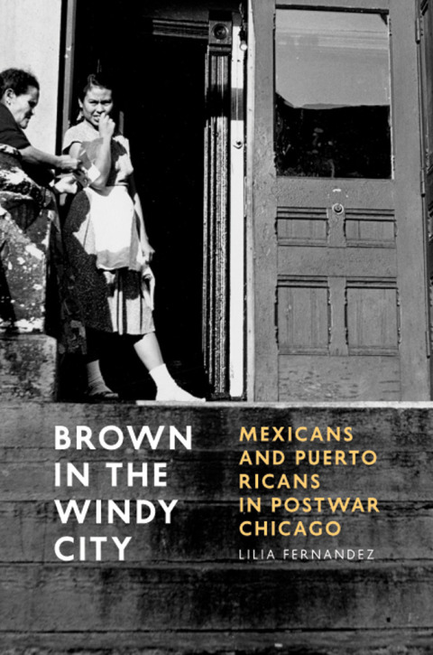 Cover image for book Brown in the Windy City