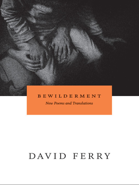 Cover image for book Bewilderment