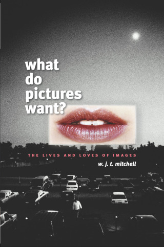 What Do Pictures Want?