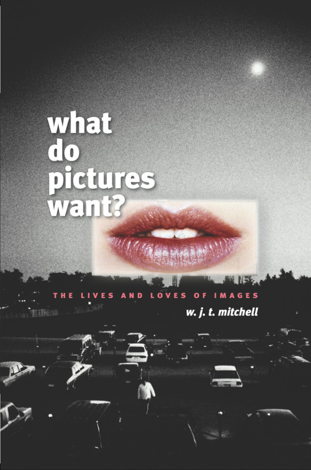 What Do Pictures Want?
