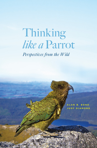 Thinking like a Parrot
