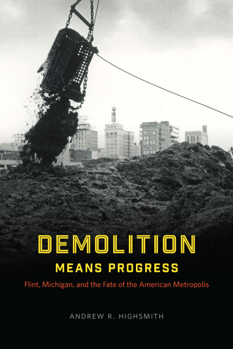 Cover image for book Demolition Means Progress