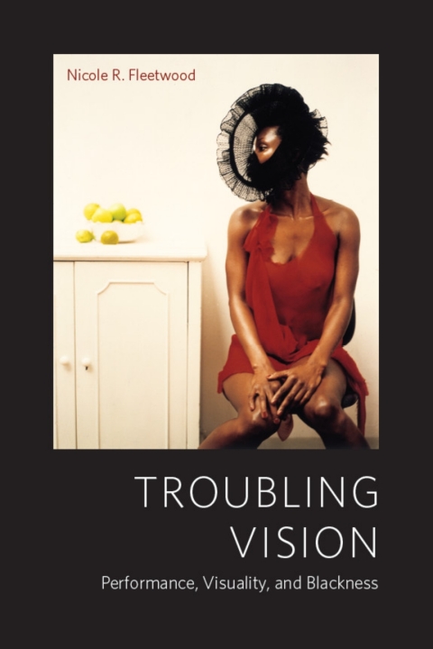 Cover image for book Troubling Vision