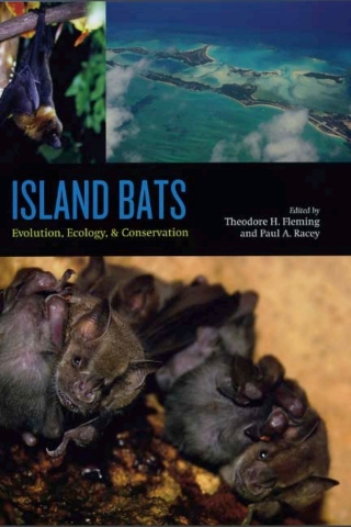 Island Bats