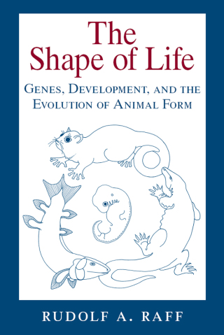 The Shape of Life