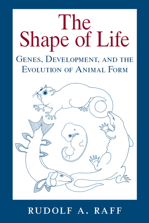 Cover image for book The Shape of Life
