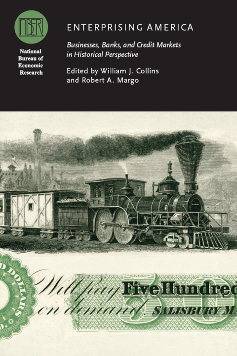 Cover image for book Enterprising America