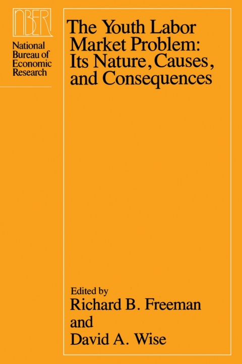 The Youth Labor Market Problem 