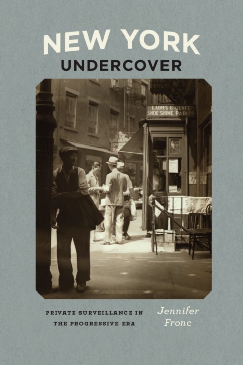 Cover image for book New York Undercover