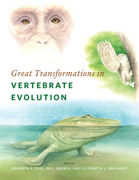 Cover image for book Great Transformations in Vertebrate Evolution