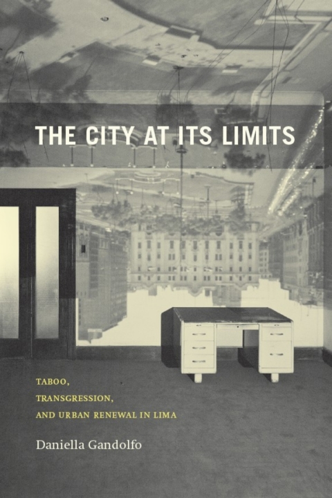 Cover image for book The City at Its Limits