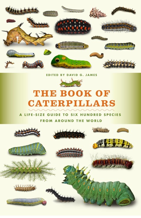 Cover image for book The Book of Caterpillars