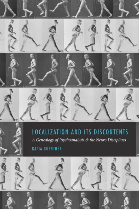 Cover image for book Localization and Its Discontents