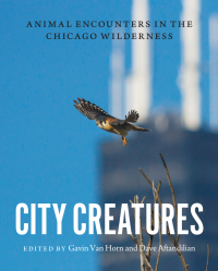 Cover image: City Creatures 1st edition 9780226192895