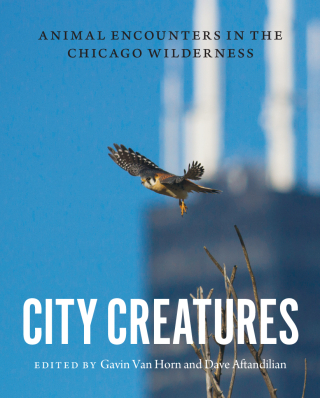 City Creatures